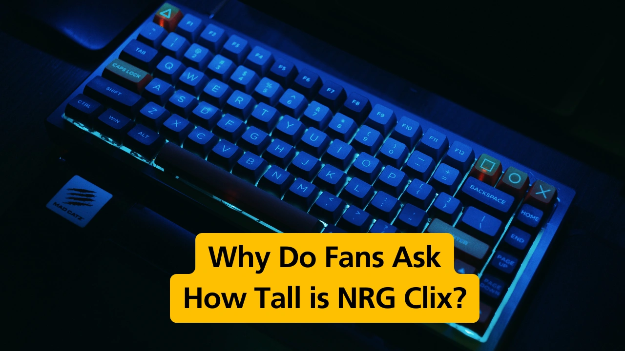 Why Do Fans Ask How Tall is NRG Clix