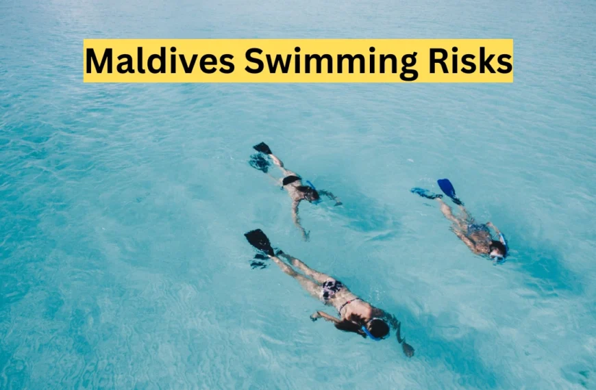 Maldives Swimming Risks