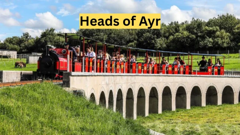 heads of ayr