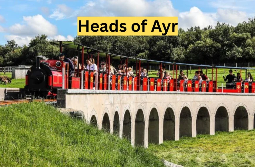 heads of ayr