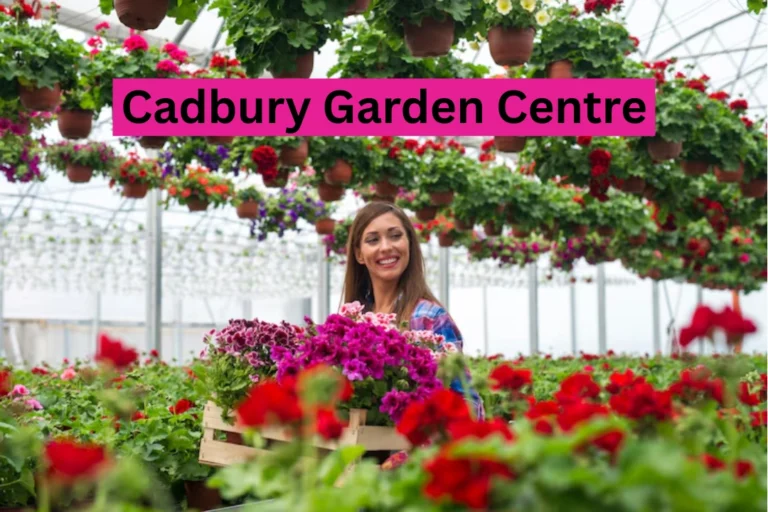 Cadbury Garden Centre