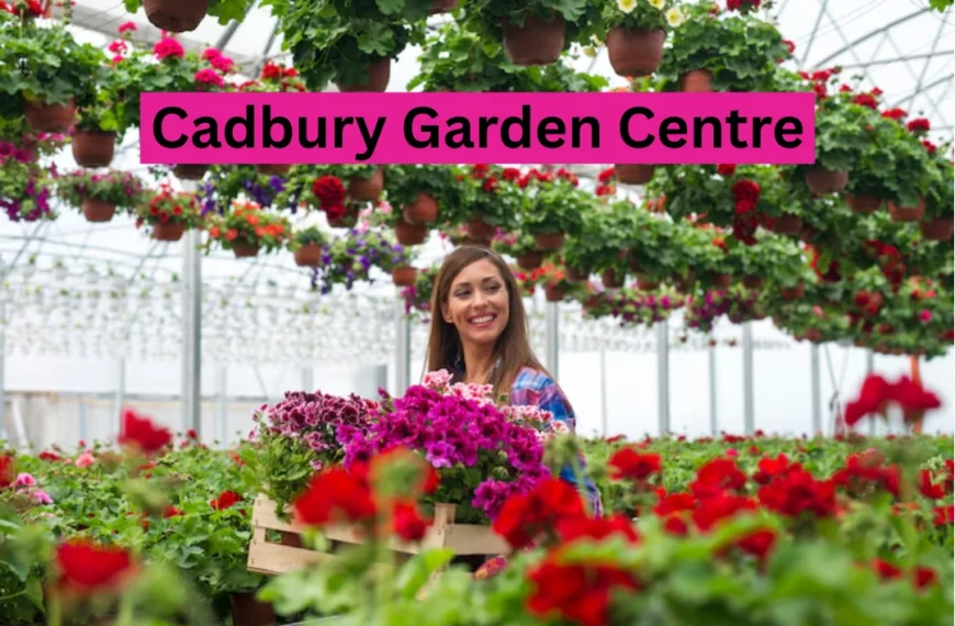 Cadbury Garden Centre