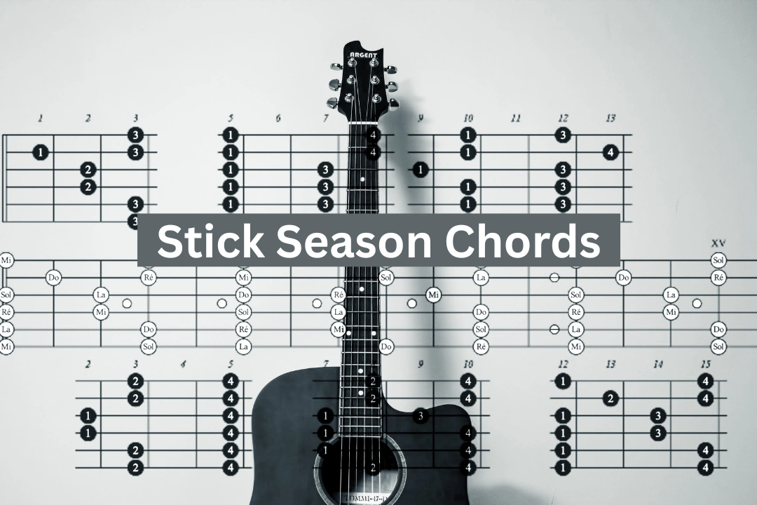 Stick Season Chords