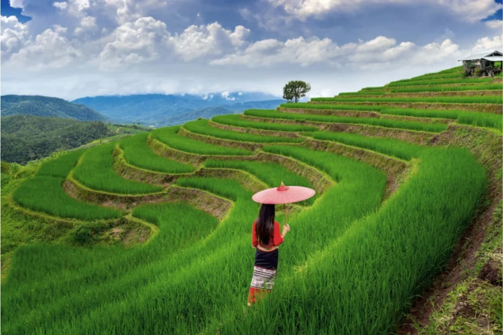 Cultural Encounters in Ha Giang